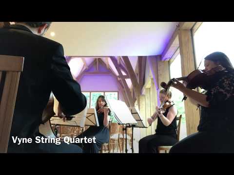 Vyne String Quartet - Isn't She Lovely