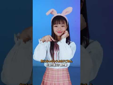 아이콘
