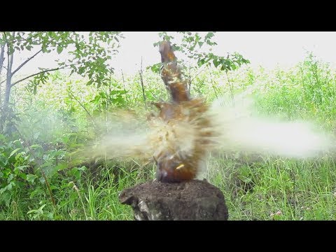 Shot from russian traumatic pistol Osa with a laser target designator. Rubber bullet.