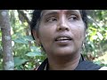 Kerala S Kudumbashree