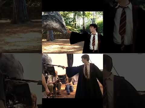 Ecco come VOLARE su un IPPOGRIFO!