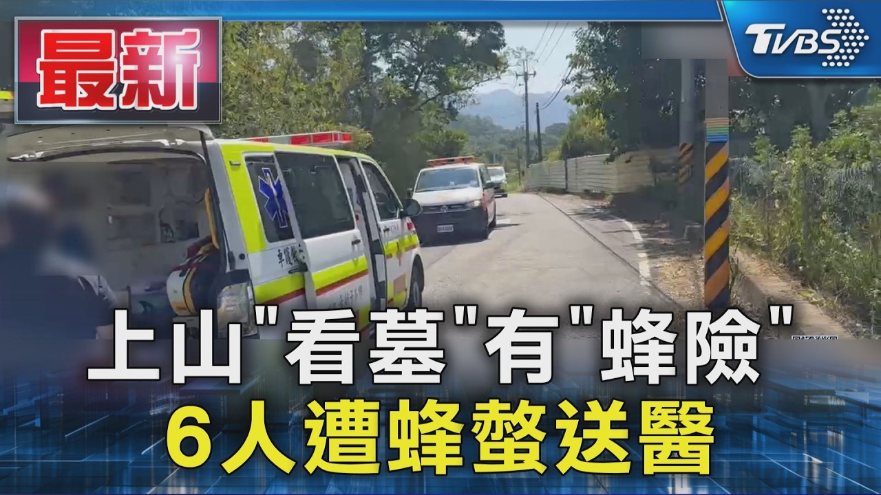 上山「看墓」有「蜂險」 6人遭蜂螫送醫