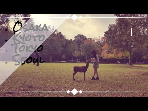 Japan | South Korea 2017 Autumn Holiday