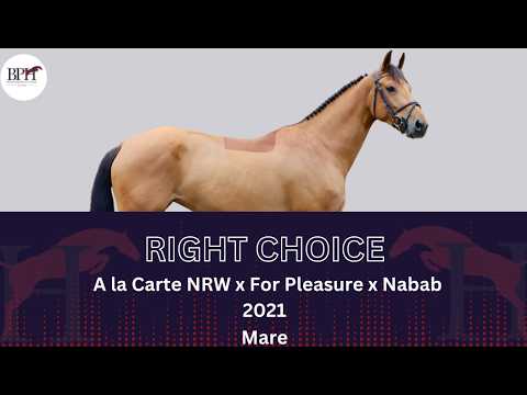 Right Choice