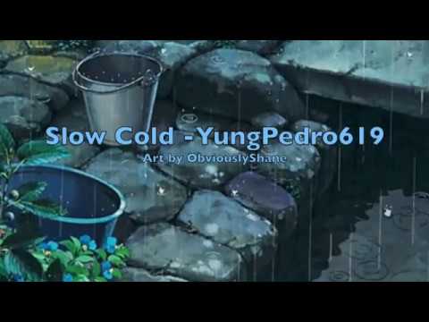 SlowCold - YungPedro619