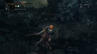 Hacker, Cheater (ID: dolo-heroico) In Bloodborne PvP 2025