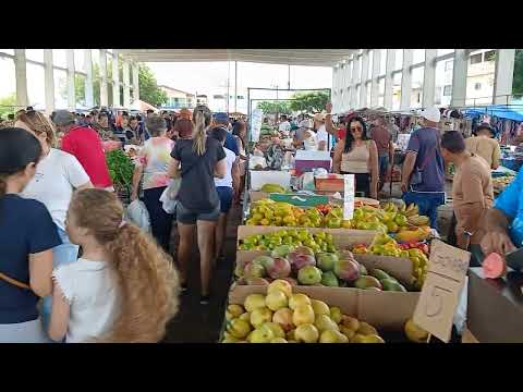 Feira livre riacho das almas Pernambuco 31/08/2026