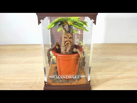 Mandrake -Magical Creatures No. 17  I Harry Potter