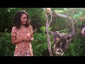 Open video