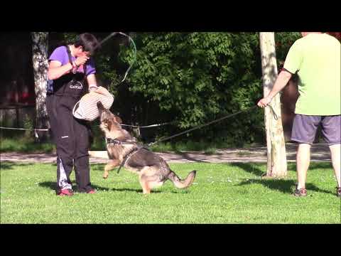 Trixi z Jukasu - protection - 9 months