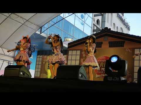 Castella​ -​ Yume​wo​miyou​ @Central​World 19Feb22​ #cmj #castella