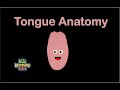 Human Body /Tongue Song/Human Body Systems