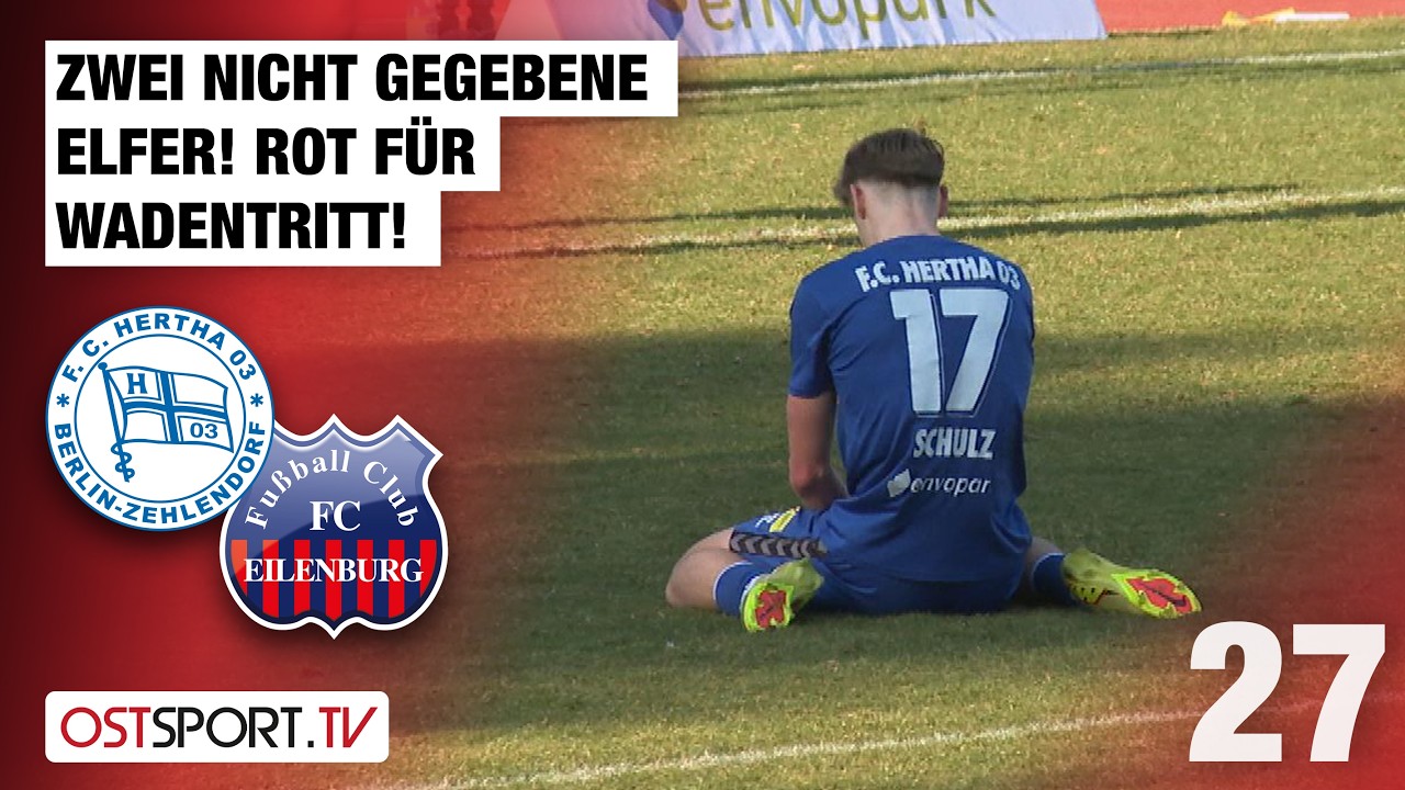 Hertha Zehlendorf vs Eilenburg Highlights