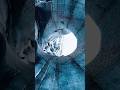 Thomas Eichberger Explores The Katla Ice Cave In Iceland Adventure Iceland Explore