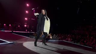 Laura Pausini - Amores Extraños  / Live in Mexico City