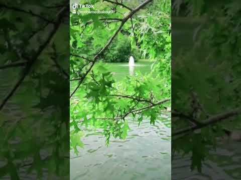 هاني شاكر بكل العمر حبيتك