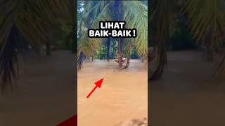 Download lagu 🔴 VIDEO DOKUMENTASI banjir sumatera | #banjir #longsor #banjirsumatera mp3