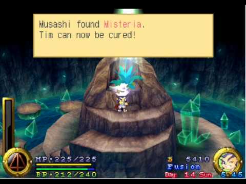 Brave Fencer Musashi - Wondrous Flower