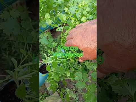 7 de dezembro de 2025