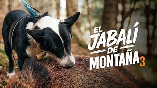 Ep. 3 Cazando al gran jabalí de las rocas | El jabalí de montaña