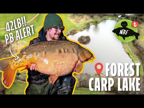 How to Approach New Waters for Carp Fishing Success 🐟💥 (PB Alert!🚨)