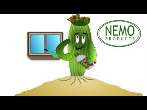 HNOJÍTKO NEMO - ČESKÁ TECHNOLOGIE KRMENÍ ROSTLIN