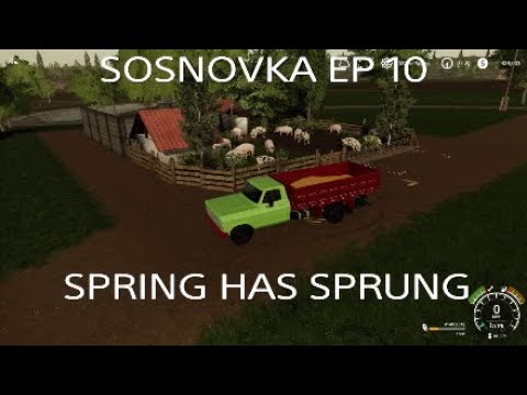 FS 19 SOSNOVKA EP 10*