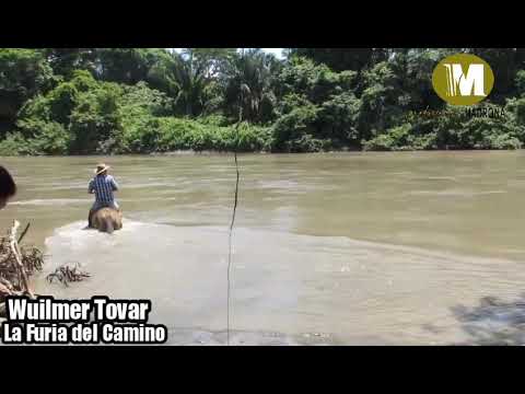 Wilmer Tovar, La Furia del Camino.