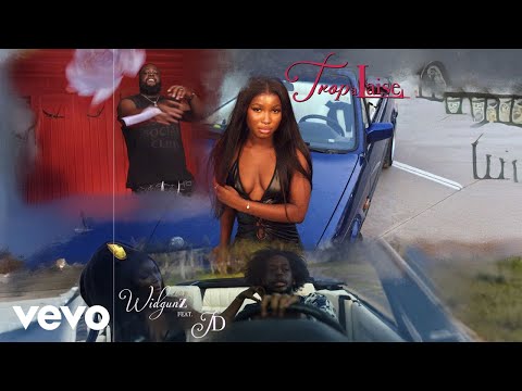 Widgunz - Trop à l'aise (Audio Officiel) ft. JD