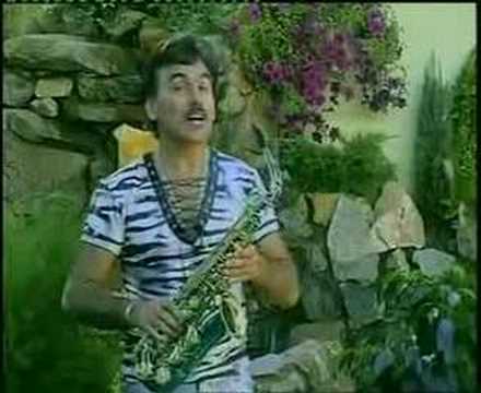 Petrica Nicoara - La Torino si Milano