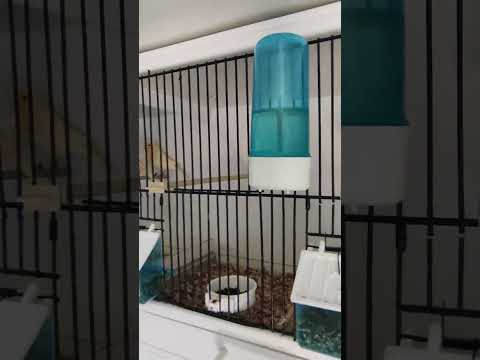 End of breeding season 2023 , quick update!!!