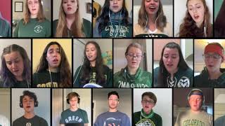 We Remember Them by Susan LaBarr | CSU Concert Choir Virtual Choir Performance