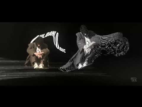 hildanlogic - i know it (visualizer)