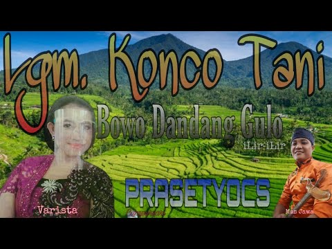 Langgam KONCO TANI Bowo Dandang Gulo - Voc Varista [PRASETYOCS Campursari]