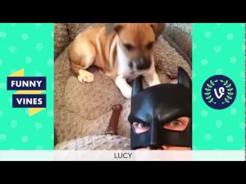 Funny BatDad Vine Compilation w Titles  2017