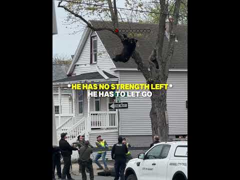 They didn’t let him fall 💔