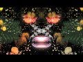 Amplifier The Wave HD 