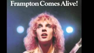 Penny For Your Thoughts - Peter Frampton