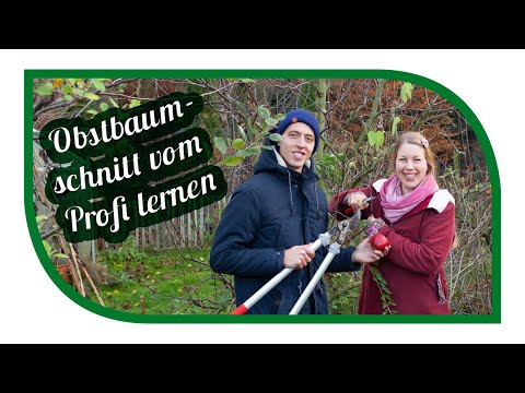 Obstbaumschnitt Crashkurs beim Profi Dominik Schreiber🍒Obstbaum richtig schneiden
