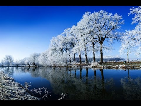 A Mellow Jazz Christmas - Eddie Henderson Project - Silent Night