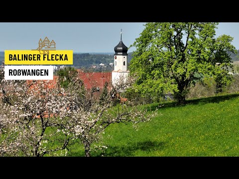 Balinger Flecka Roßwangen