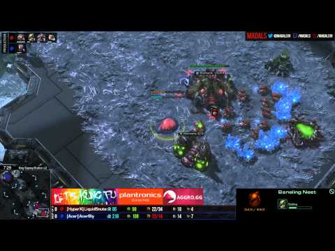 The Foreign Hope   Snute v Bly ZvZ G1