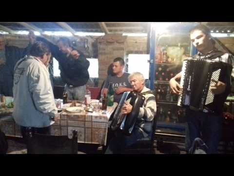 Na Dunavu kod Nese  Aleksandar Saja Stojanovic Dragisa Trejkic Slavisa Stojanovic Saja Klicevac