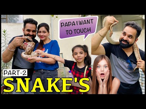 OMG 😱 Guneet ne Tortoise Pakda @PULKITvAmp @NihalPets | Amzing Animals Part-2 | Harpreet SDC