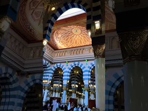 Ya Taiba #shortvideo #shorts #viral #viralpost #reels