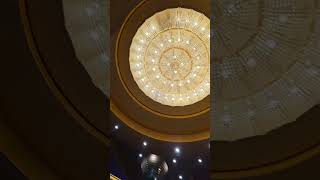 Msc Orchestra ⛴️ Msc Crociere 🦁 Savannah bar 🍸 #mscorchestra #msccrociere  #savannahbar