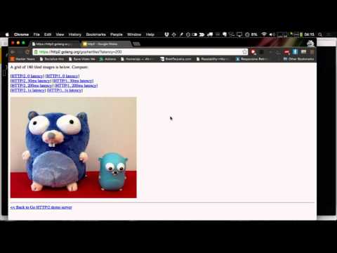GopherCon 2015: HTTP/2: What It Is and How We Implemented It In Go - Brad Fitzpatrick