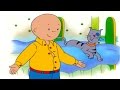 Ruca Em Português 2 Horas De Ruca
