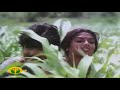 Hey Kiliyirukku Muthal Mariyathai 1080p HD Ilaiyaraja Hits Sivaji Ganesan Hits
