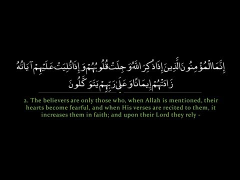 Surah Anfal | Nasser al Qatami سورة الأنفال | ناصر القطامي